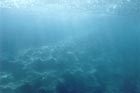 Unterwasserwelt 2